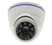 Купольная IP камера OV-A1D36